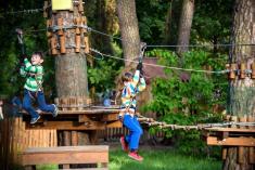 Des enfants sur un parcours dans les arbres