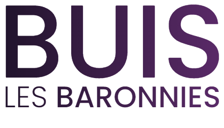 Logo de la mairie de Buis les Baronnies