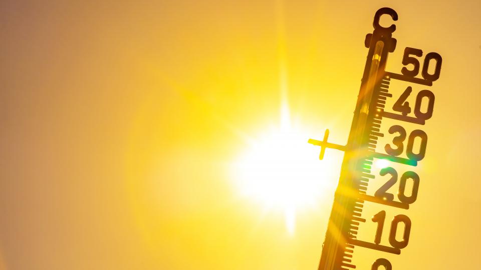 Canicule