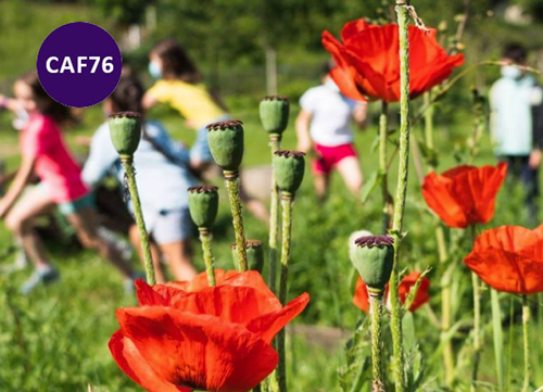 des enfants dans un champs de fleurs