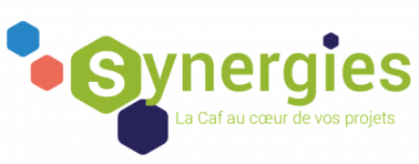 Logo Synergies