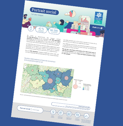 Portrait social 2024 Caf des Vosges