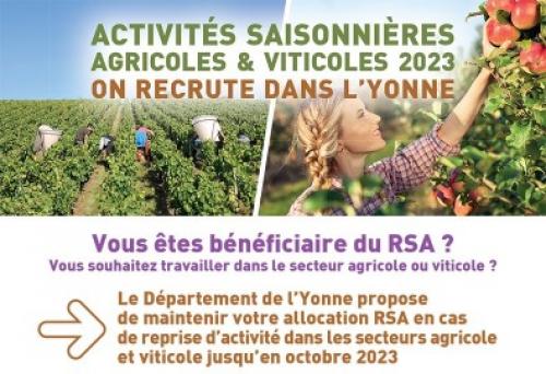Opération Vendanges