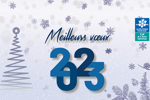 Texte écrit Meilleurs voeux 2023