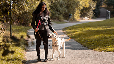 chien guide soutien