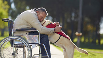 personne en fauteuil roulant avec un chien d'assistance