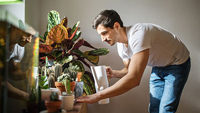 arroser ses plantes