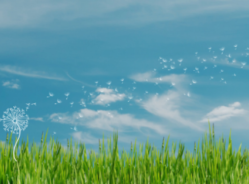 Image d'illustration