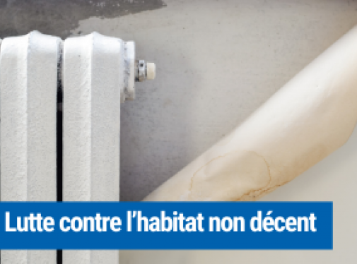 Habitat non décent